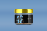 Gemini Jar