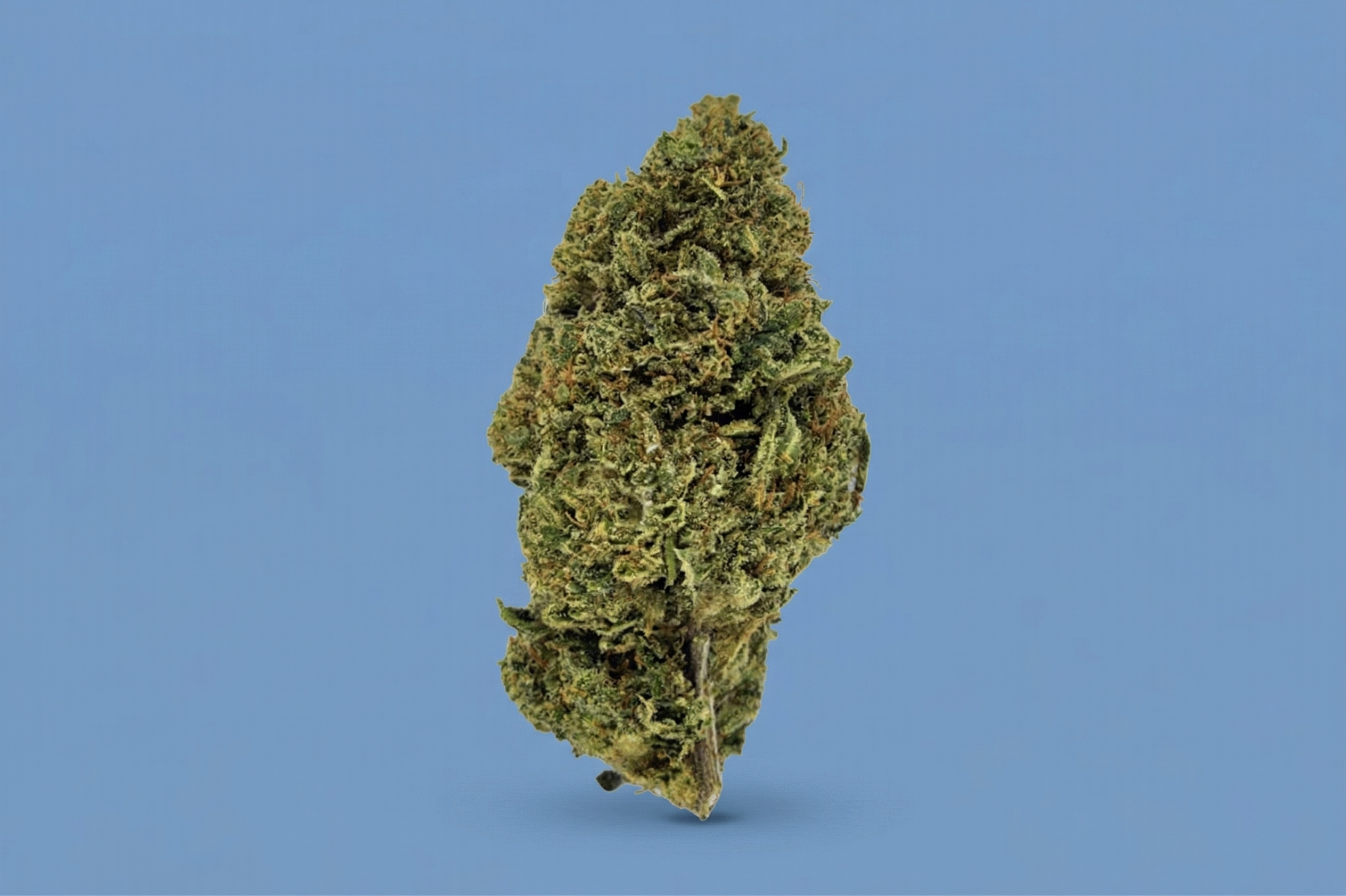 lum_cherry_fritter_0513b15f-cf24-42b6-8421-a1f0cff5329b