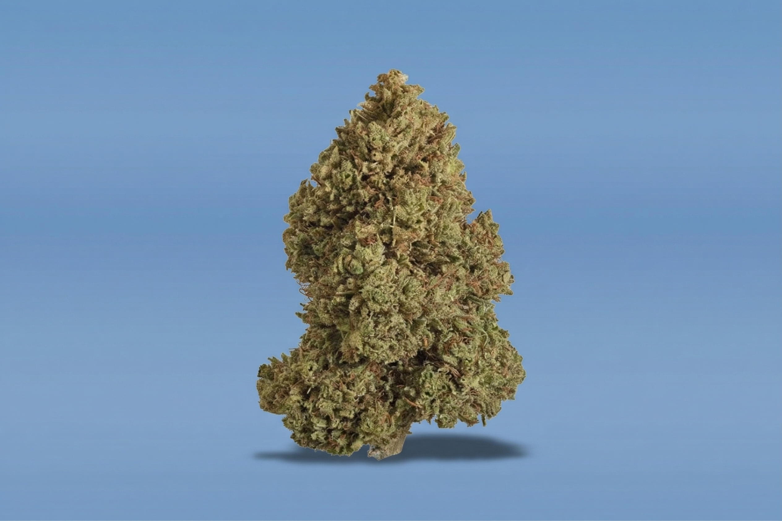 lum_cookies_n_cream_8f6c5cc0-9942-4b2e-8ac9-05a1f1a73b5f