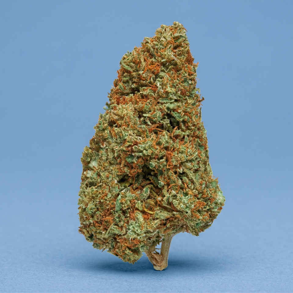 Jet Fuel