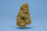 Jet Fuel