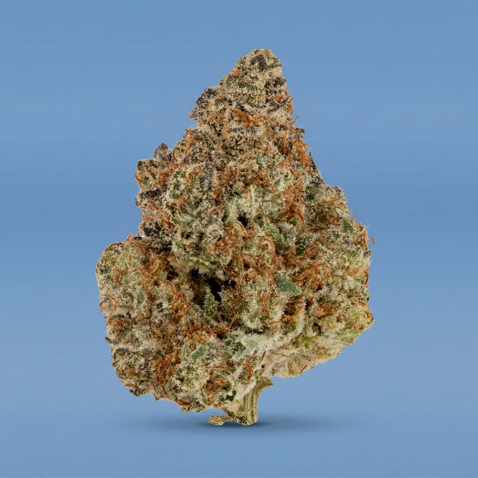 Lemon Drop