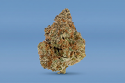 Lemon Drop