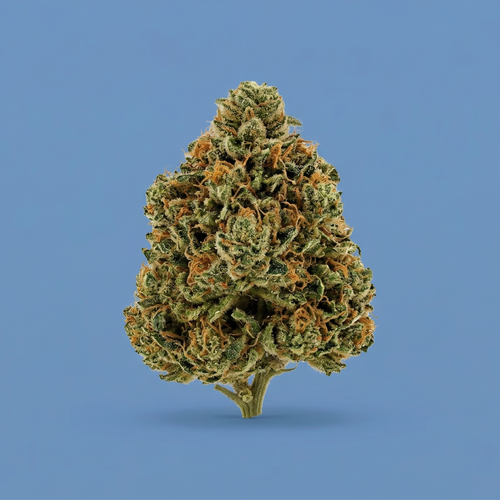 Sour Runtz