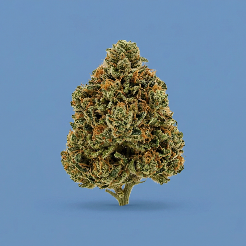 Sour Runtz