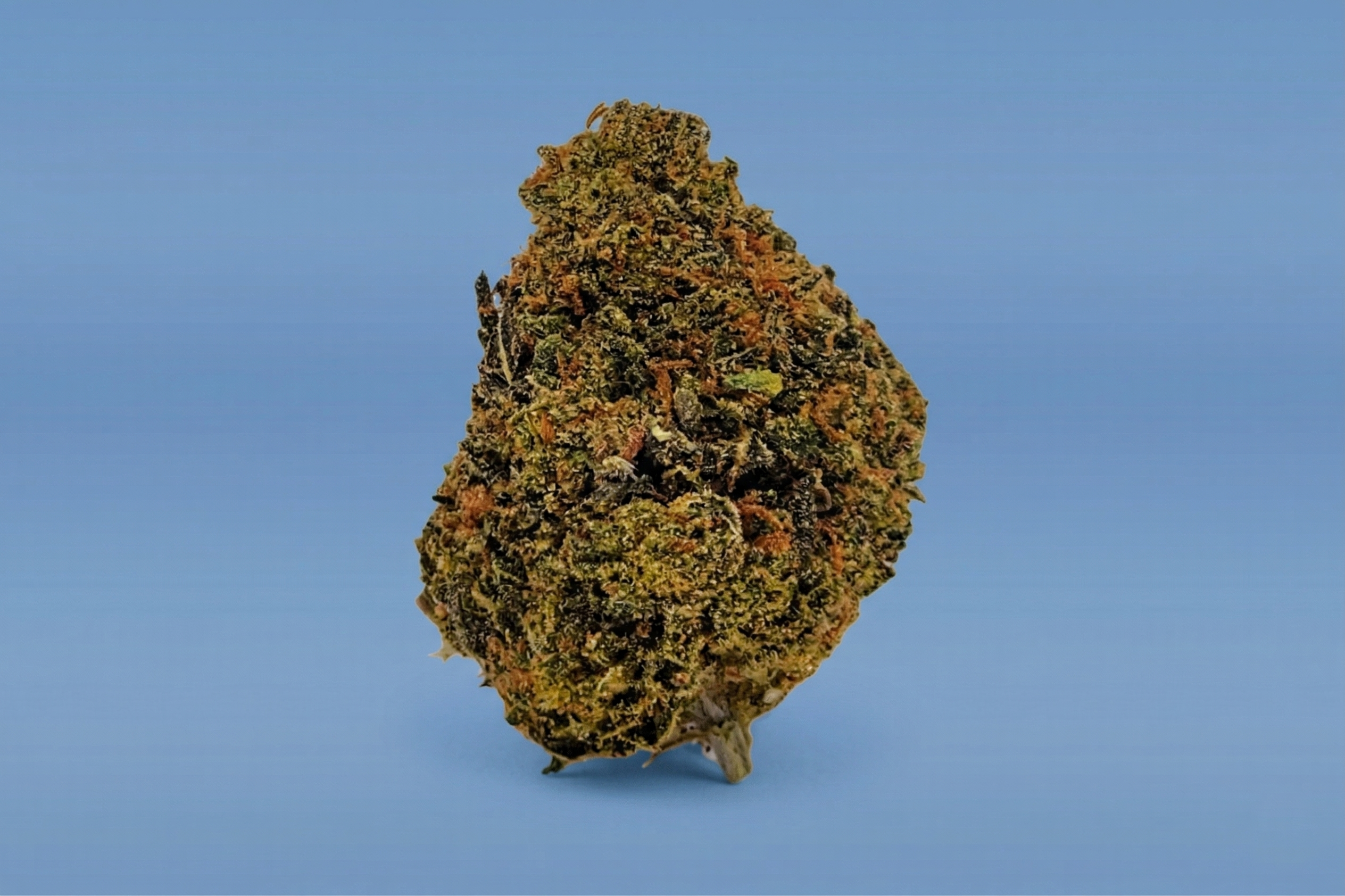 Sunset Sherbet